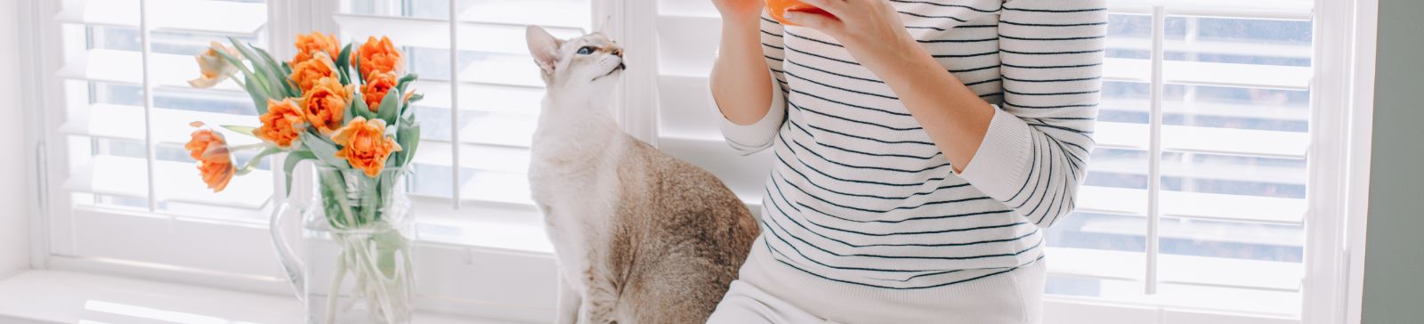 Child and Pet-Friendly Window Treatments: A Guide to Safety and Style